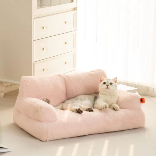 canape pour chat et chat blanc