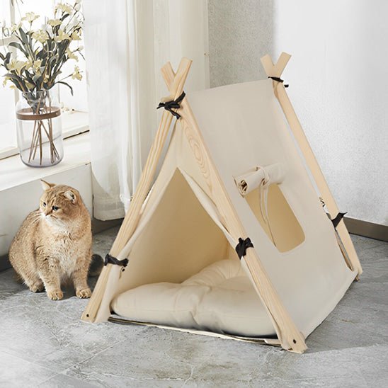 chat a cote tente pour chat