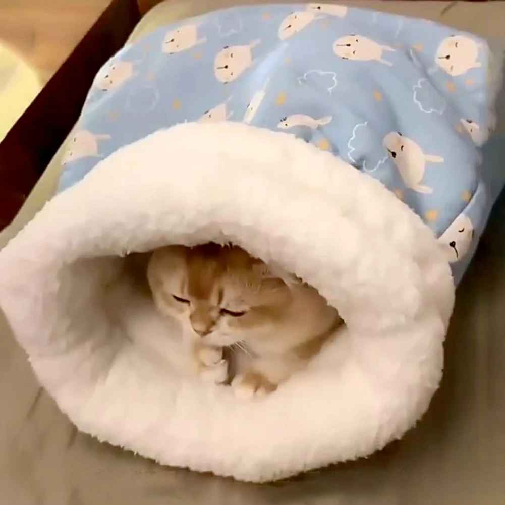 chat allonge dans lit pour chat bleu