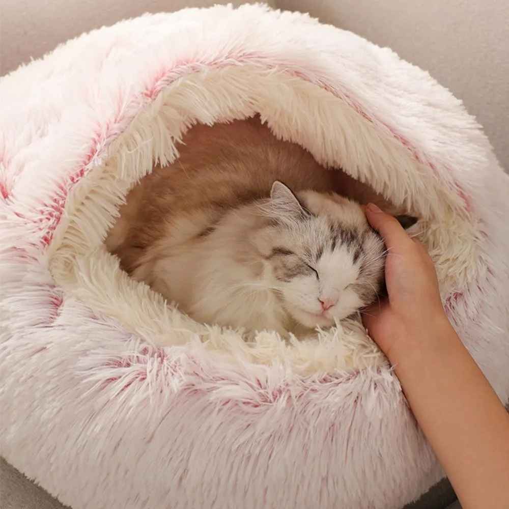 chat caressé dans lit pour chat peluche