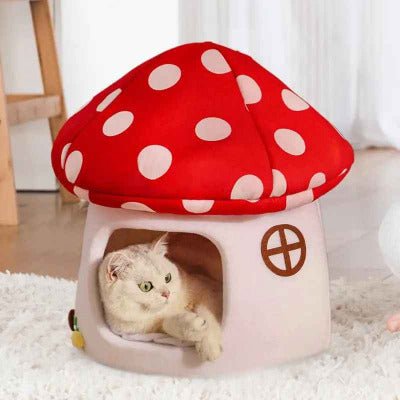 chat couché dans la Niche à Chat forme Champignon