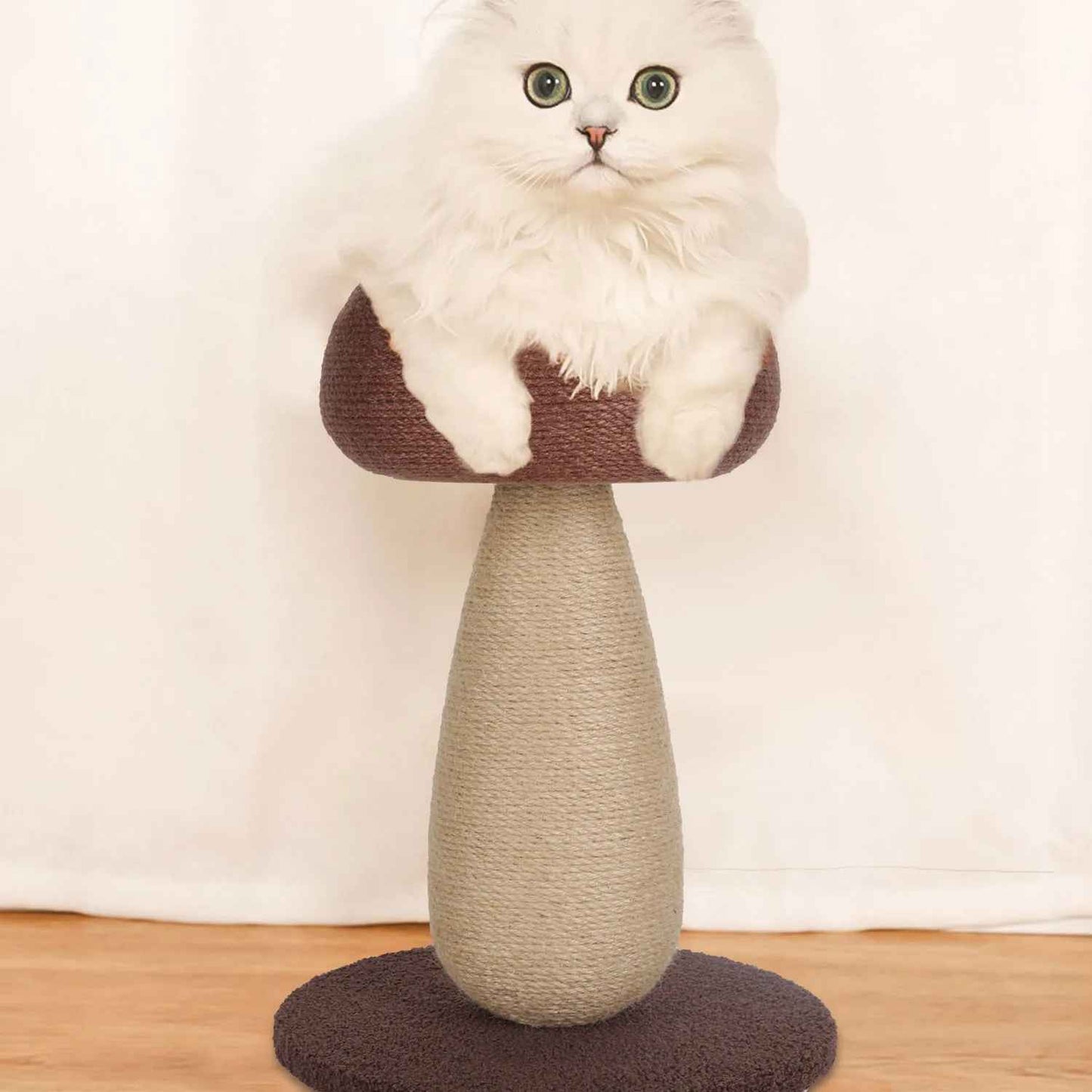 chat couchĂ© sur la tĂȘte de champignon du griffoir chat