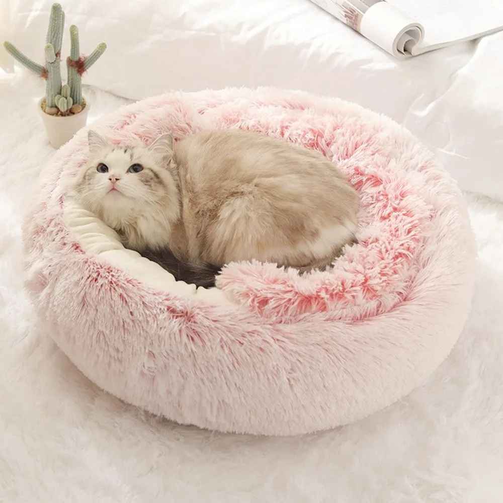 chat couché sur lit tissu