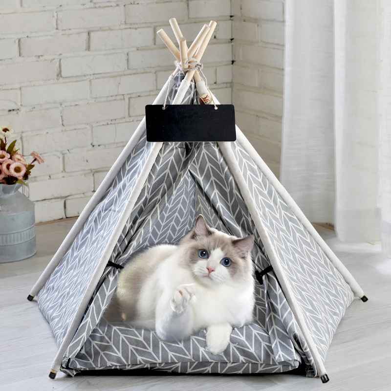 chat dans tente tipi chatgris