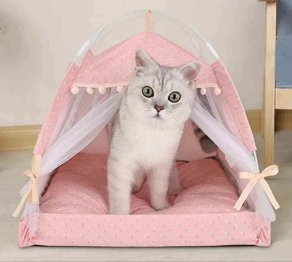 chat debout dans tente pour chats rose