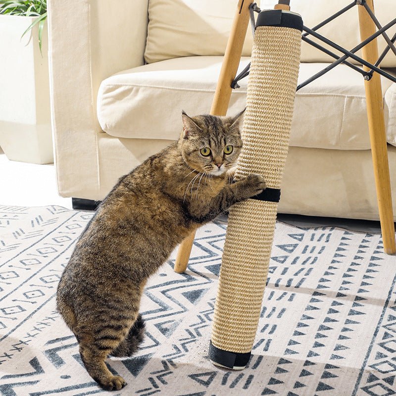 chat debout sur griffoir pour chat