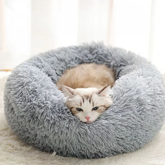 chat dort dans coussin chat