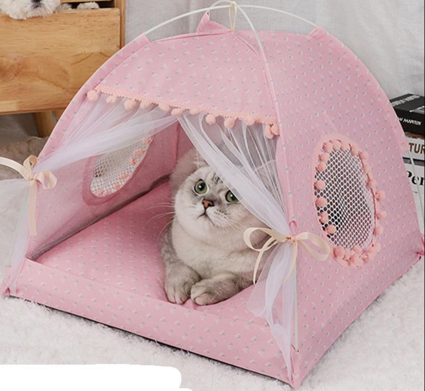 chat gris couché dans une tente rose