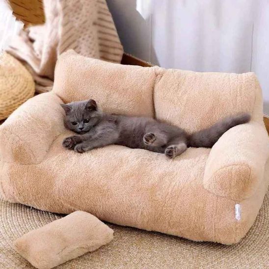 chat gris etendu sur canape chat