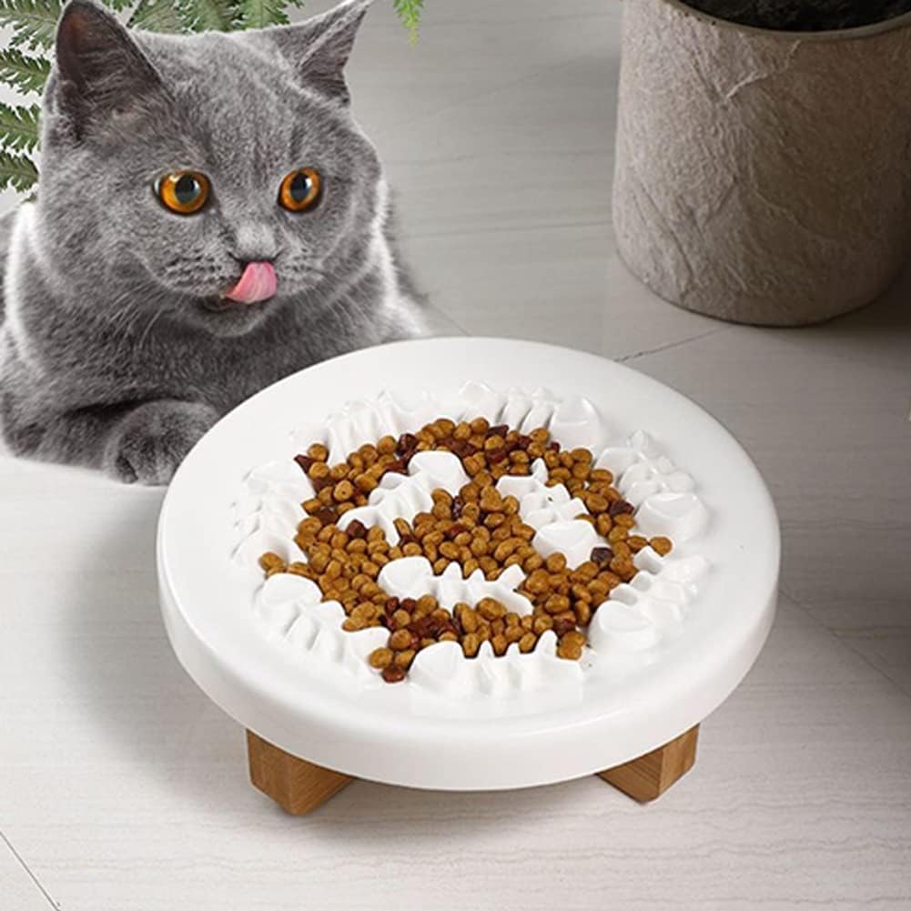 chat gris près de la gamelle anti glouton céramique