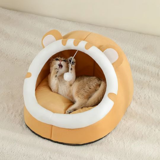 chat jouant pompon niche pour chat
