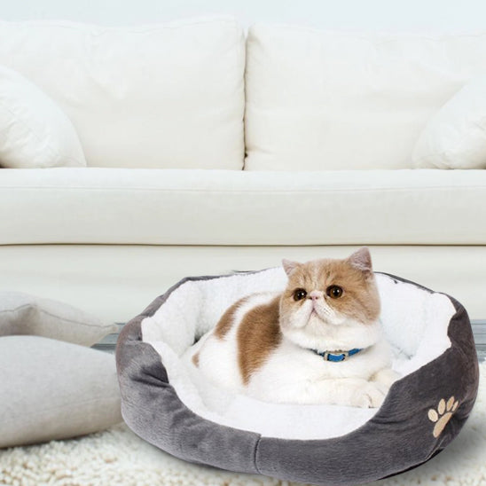 chat-panier-corbeille-a-chat