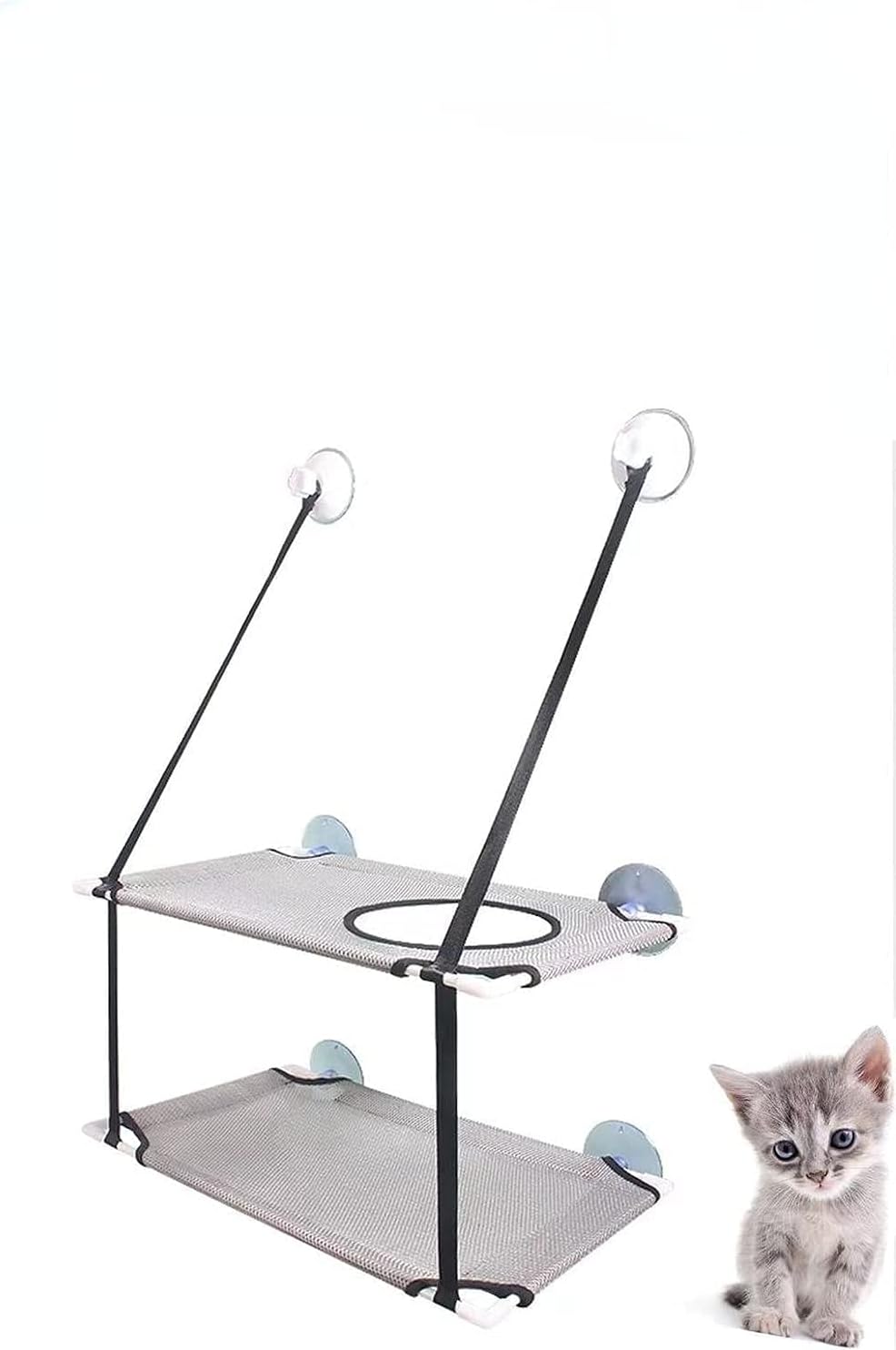 chaton a cote du hamac chat fenetre double