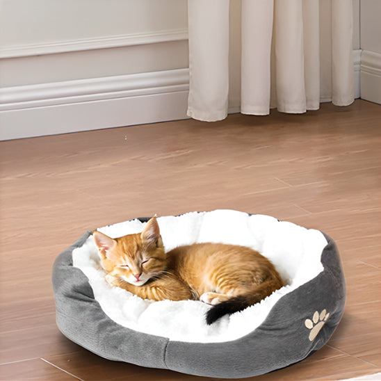 chaton brun dans panier corbeille a chat