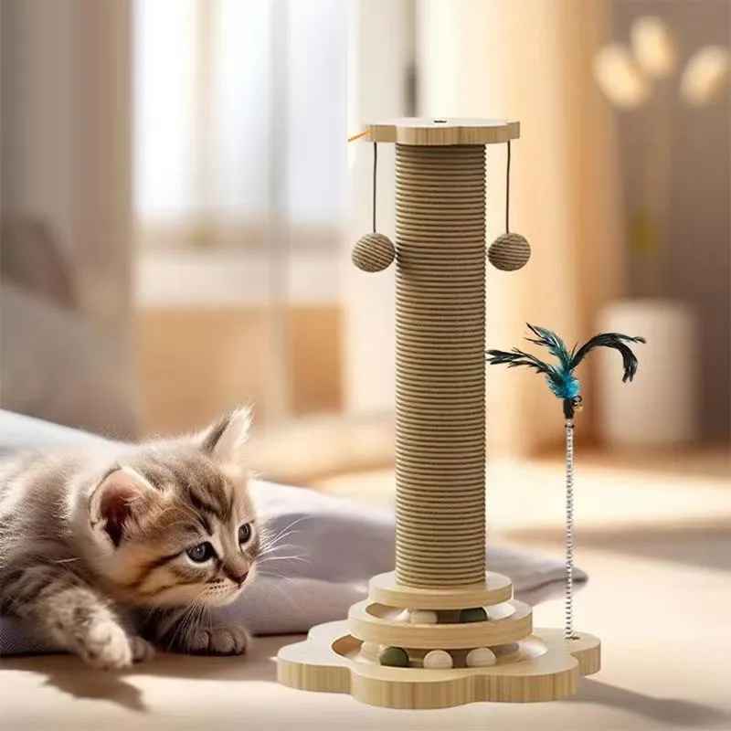 chaton jouant griffoir pour chat