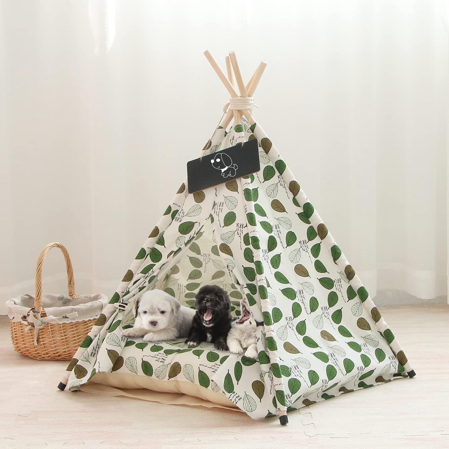 chiots dans tente tipi chat