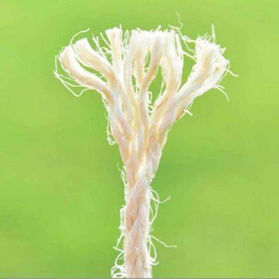 Corde pour arbre à chat et/ou griffoir | Sisal Naturel Premium épaisseur