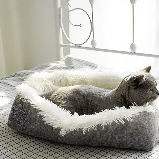 Coussin pour chat transformable - Chat - Mellow