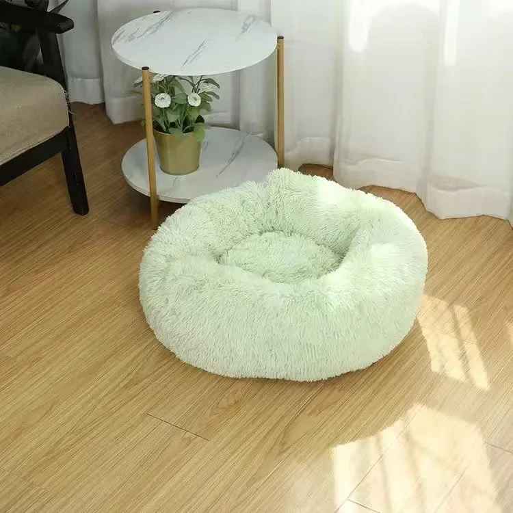 coussin chat vert