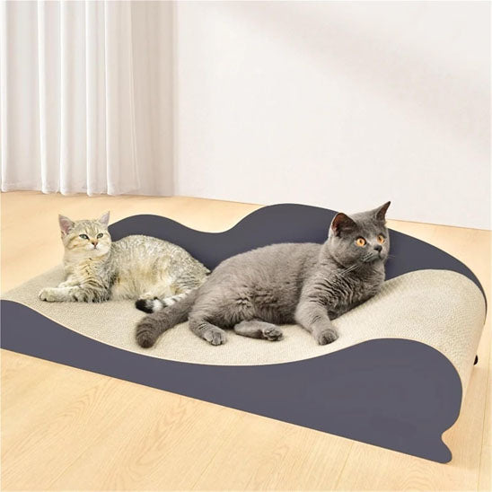 deux chats couchés sur griffoir canapé lit