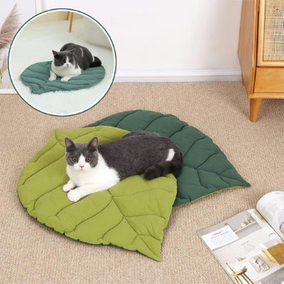 deux tapis de lit pour chat feuille et photo
