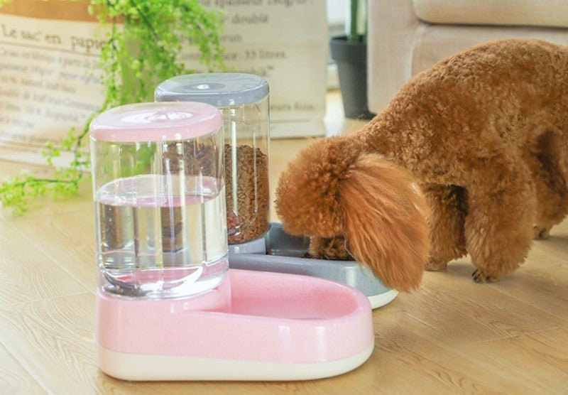 Distributeur automatique de croquettes pour chat - Chat - Mellow