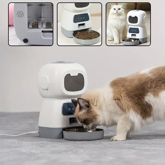 Distributeur de croquettes pour chat programmable - Nono - Chat - Mellow