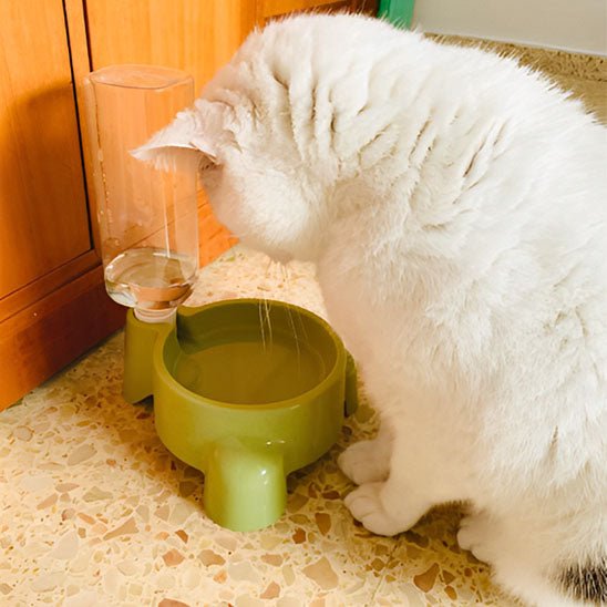 distributeur eau chat de qualité - Chat - Mellow