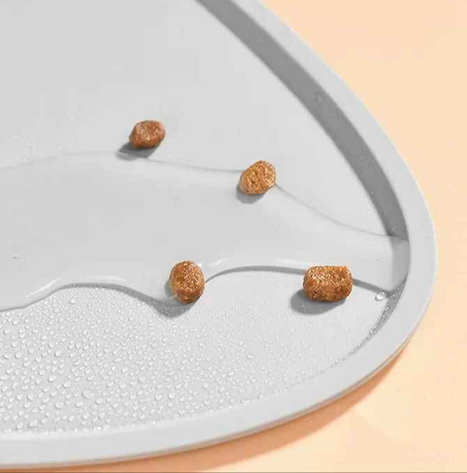 eau et nourriture sur tapis alimentation chat
