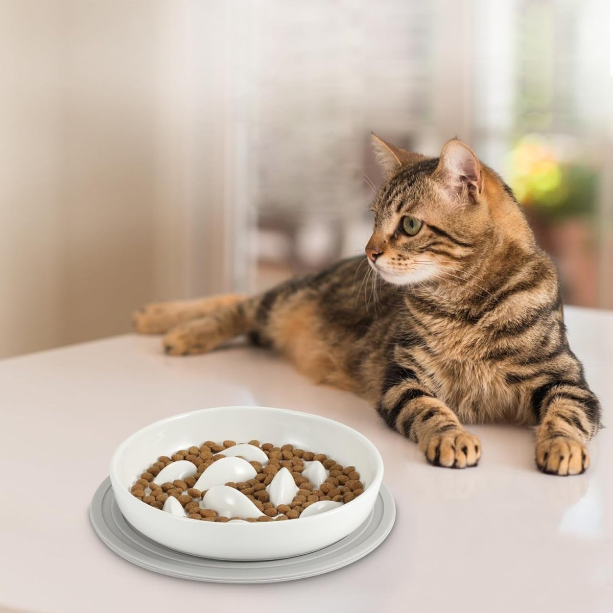 Gamelle anti glouton chat Céramique Poissons - Chat - Mellow