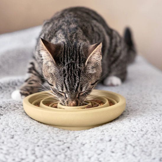 Gamelle anti glouton chat Céramique Spirale - Chat - Mellow