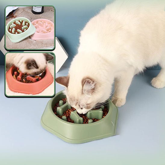 Gamelle anti glouton chat - Forme os - Chat - Mellow