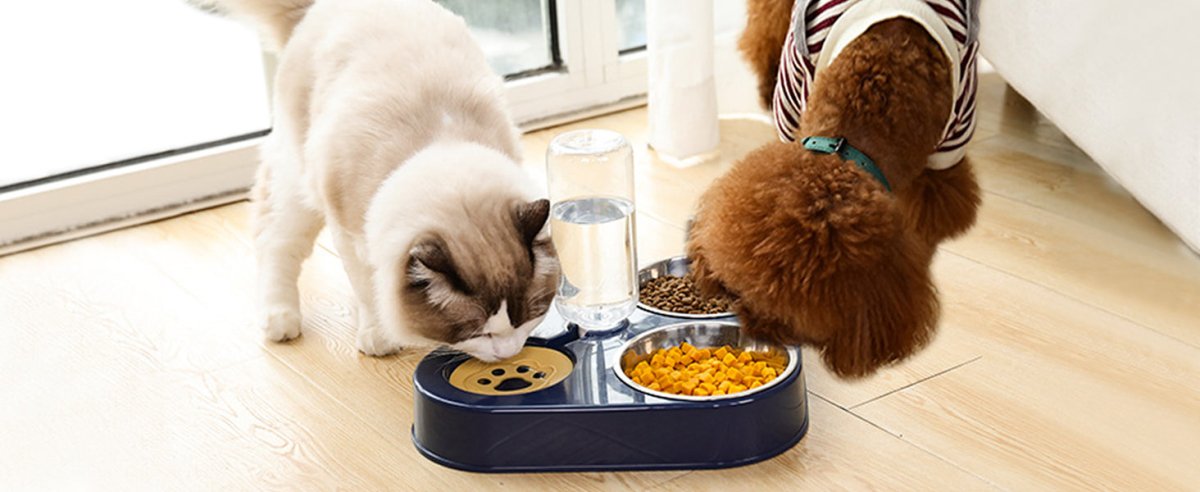 Gamelle chat en forme Triangle - Chat - Mellow