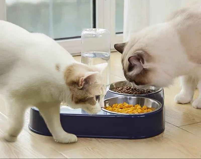 Gamelle chat en forme Triangle - Chat - Mellow