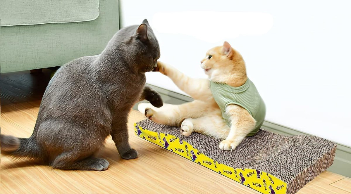 Griffoir en carton pour chat réversible - Chat - Mellow