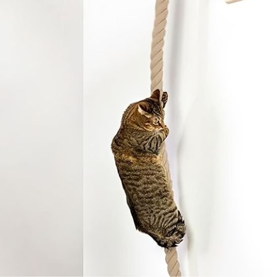 Griffoir pour chat corde murale - Chat - Mellow