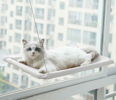 hamac chat fenêtre gris