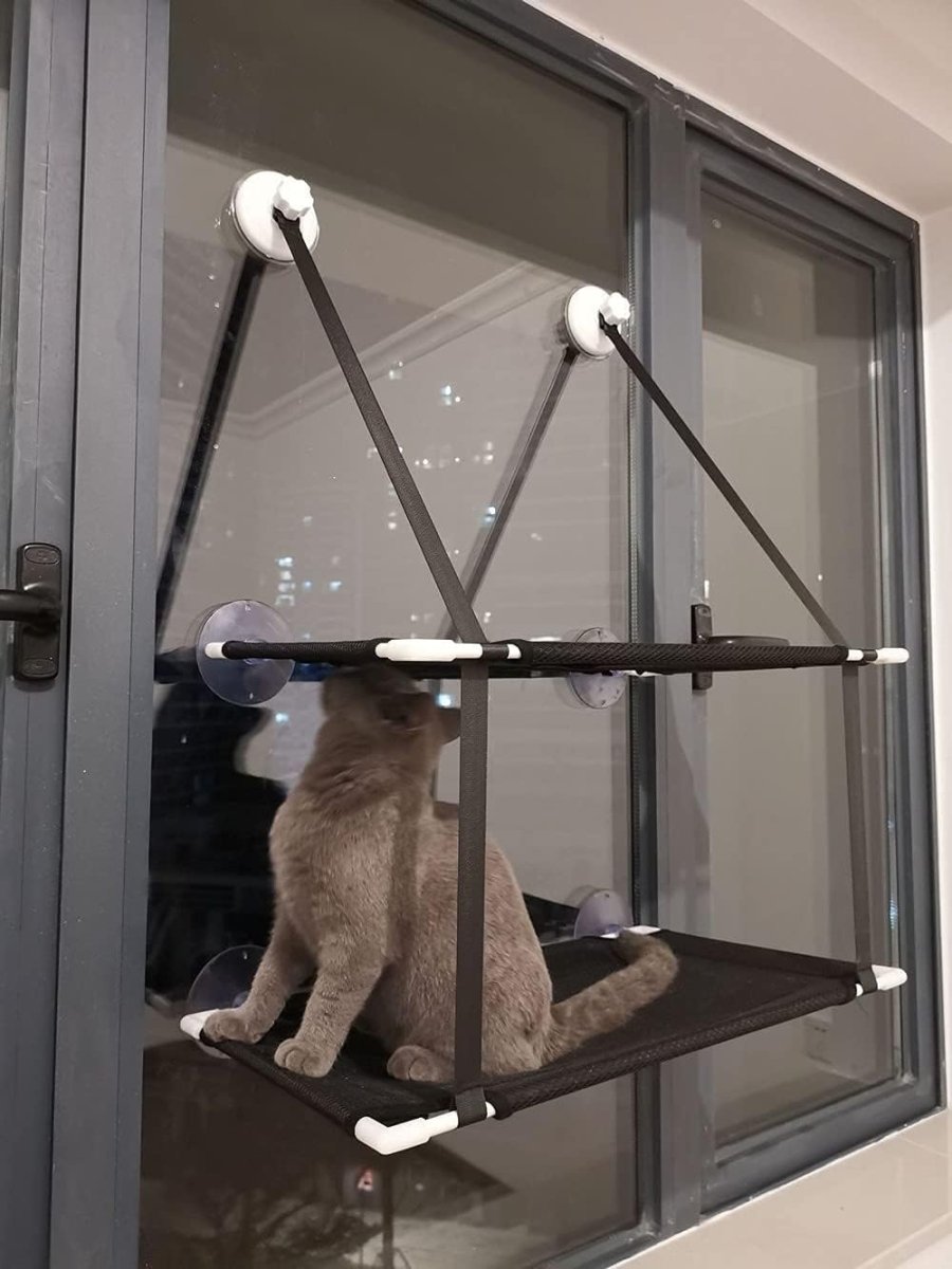 Hamac chat fenetre simple ou double - Chat - Mellow