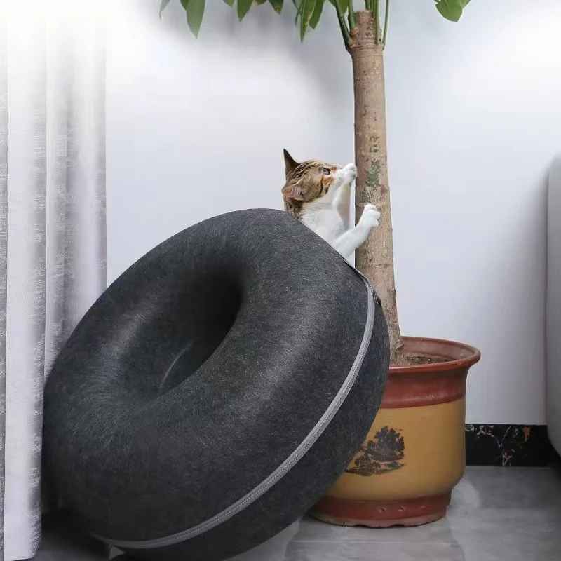 lit pour chat debout