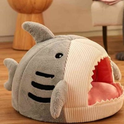 Niche chat | Shark - Chat-Mellow