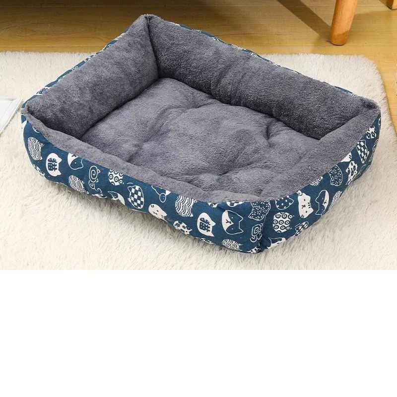 panier chat chatons bleus