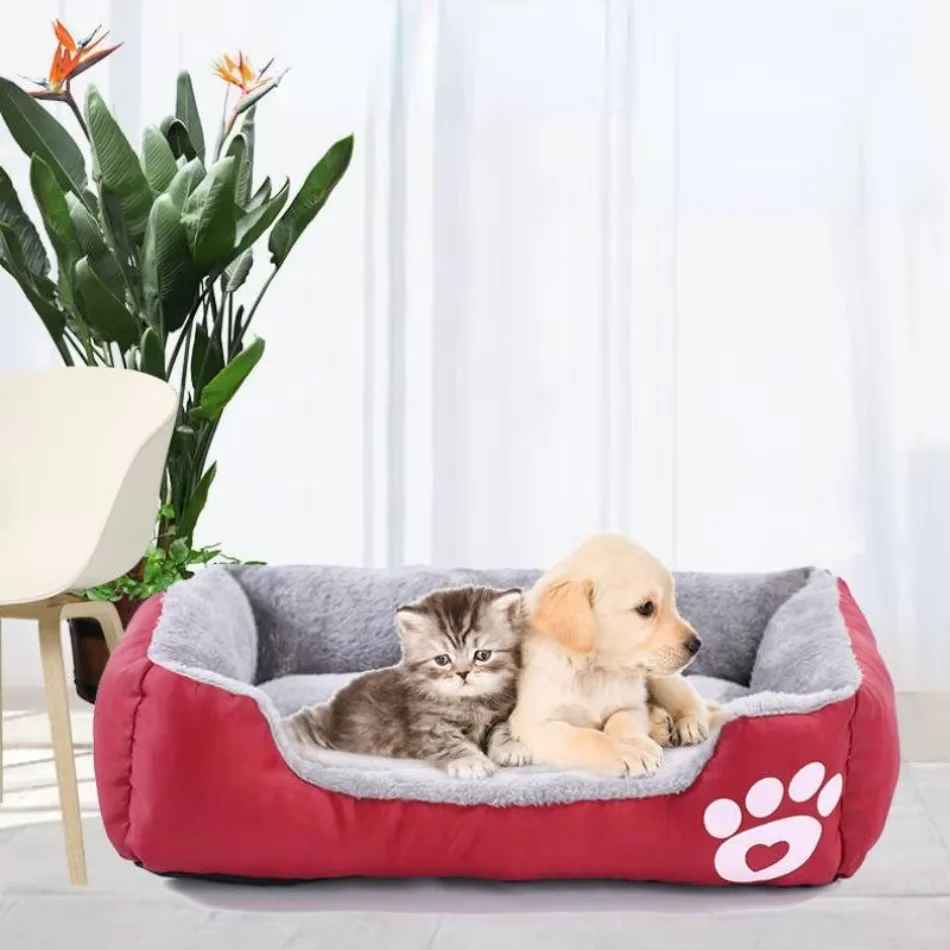 panier chat chiot chaton