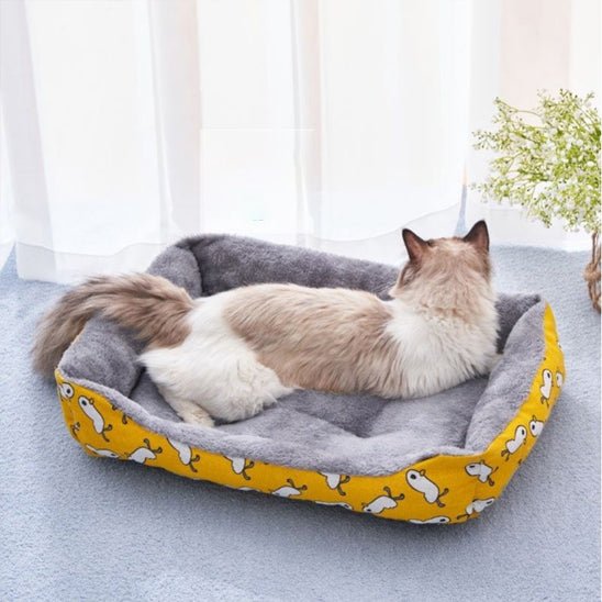 panier chat et chat de dos