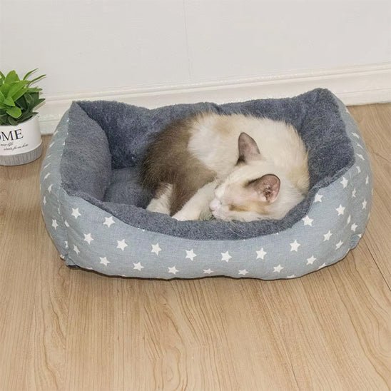 panier chat et chat dort