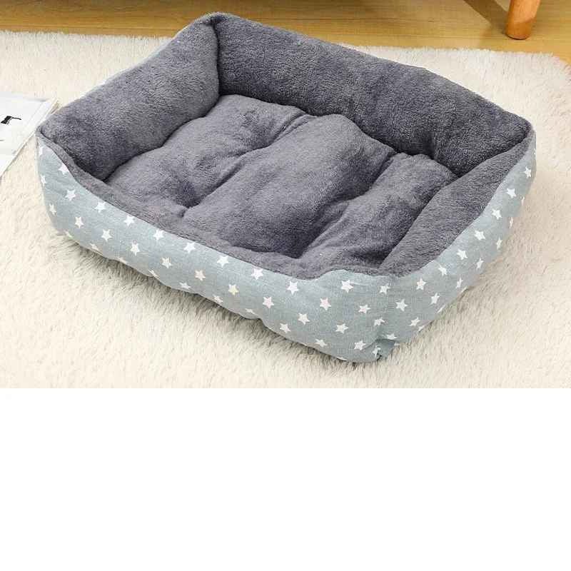 panier chat etoiles