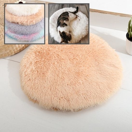 photos tapis de lit pour chat