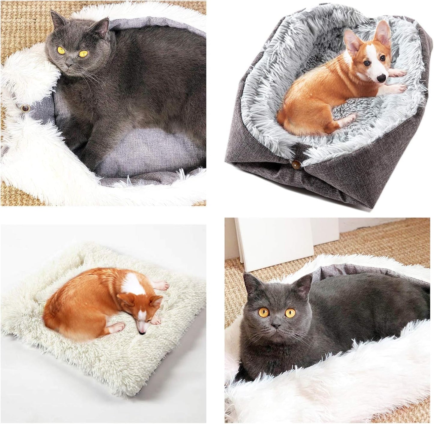 plusieurs photos chats et chiens du coussin pour chat