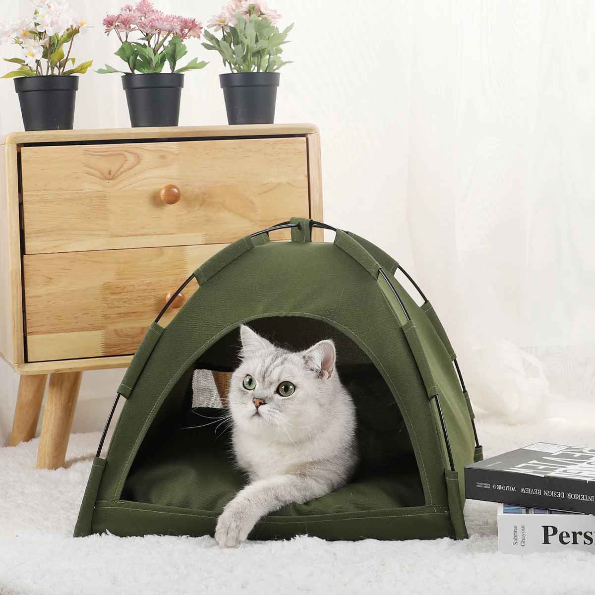 tente chat verte et chat a l'interieur