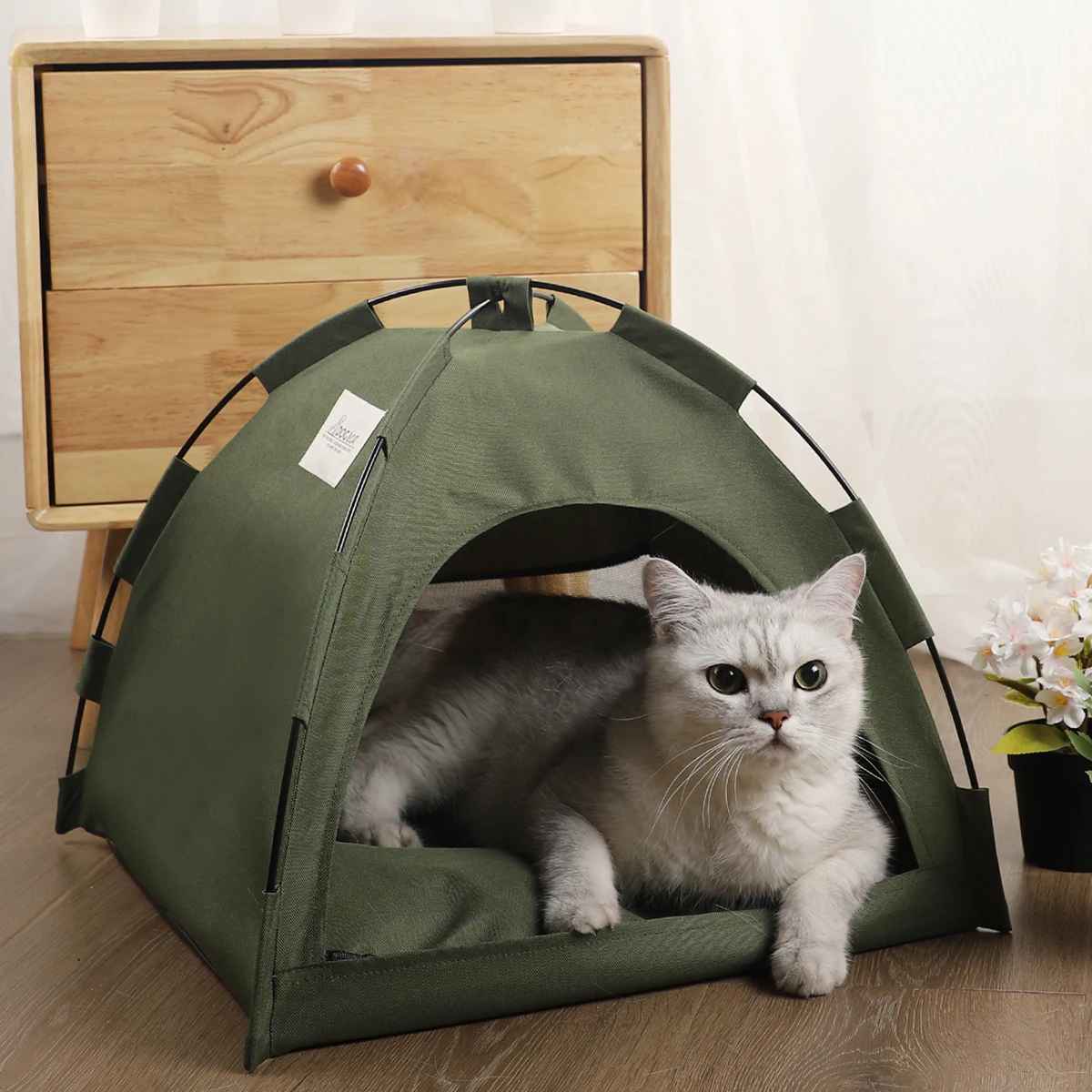 tente chat verte