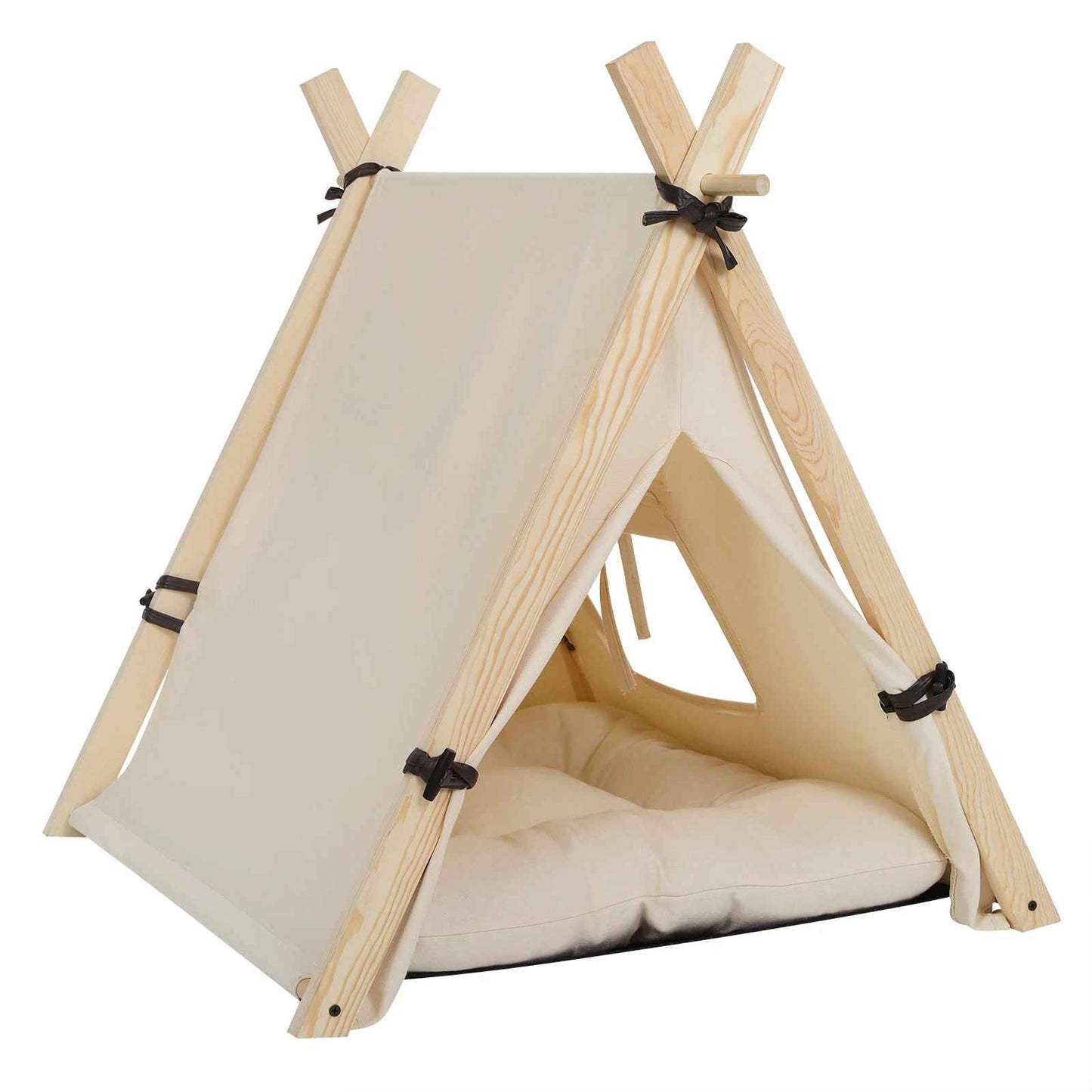 tente pour chat cote